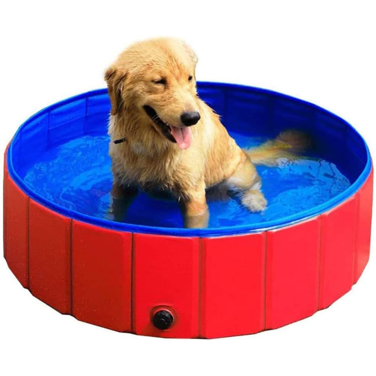 Piscina Plegable Para Mascota 80x20 Cm